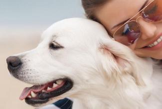 A Person with their White Coloured Dog